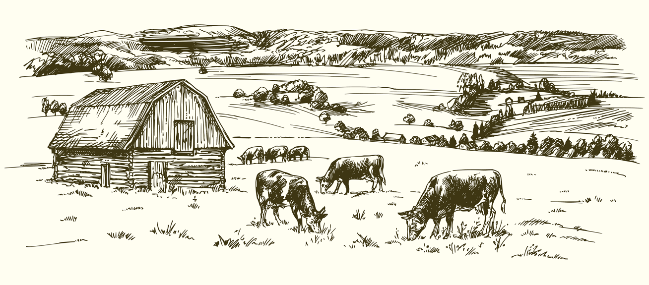 An illustration of cattle and a barn in a rural field.